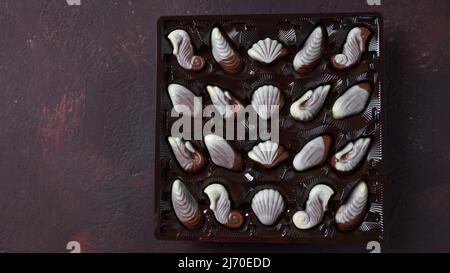 Belgian seashells traditional chocolate candies. Belgian milk chocolate bonbons shaped as seashells with clams, seahorses Stock Photo