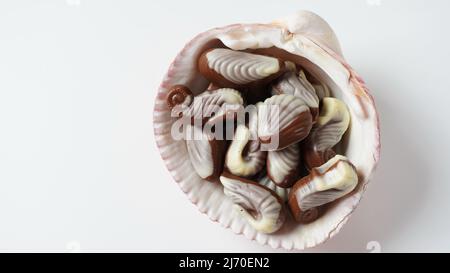 Belgian seashells traditional chocolate candies. Belgian milk chocolate bonbons shaped as seashells with clams, seahorses Stock Photo