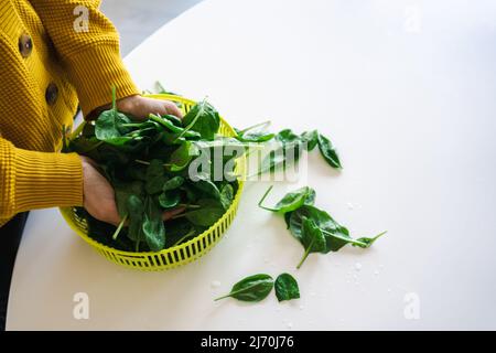 Women hands washing baby spinach leaves Stock Photo