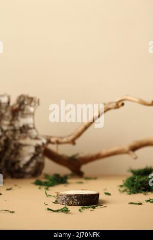 Wood podium platform on beige background with bark of birch, wood branch, green moss. Empty showcase for presentation of cosmetic products Stock Photo