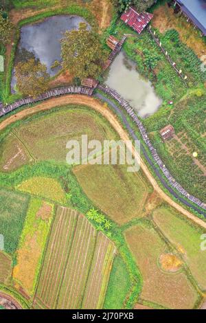 Aerial views of Pua and the rice fields in Nan province, Thailand Stock ...