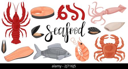 Seafood set. Raw squid, octopus, red fish, fillet,mussels, crab, crayfish, butchered squid, salmon steak. A collection in a flat cartoon style. Color Stock Vector