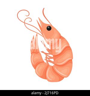 The shrimp is raw and fresh. Marine and river crustacean animals. Food ingredient, delicacy. Flat cartoon vector illustration isolated on a white back Stock Vector