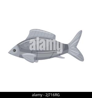 Raw, fresh gray fish. Marine, river animal. Flat cartoon vector illustration isolated on a white background Stock Vector