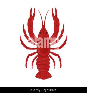 Boiled fresh red river crayfish with pincers. A crustacean animal. Food ingredient, delicacy. Flat cartoon vector illustration isolated on a white bac Stock Vector