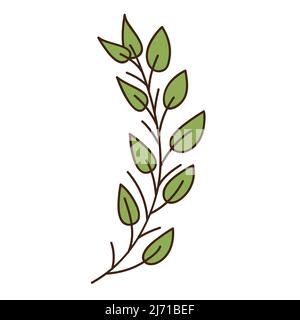 Abstract twig with green leaves. A blade of grass. Botanical, plant design element with outline. Doodle, hand-drawn. Flat design. Color vector illustr Stock Vector