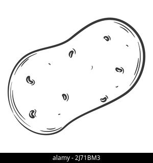 Potato Line Art