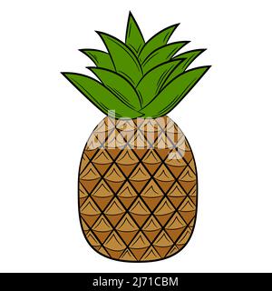 Pineapple fruit in a linear style. Colorful vector decorative element, drawn by hand. Stock Vector
