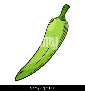Chili Pepper. A vegetable in a linear style, drawn by hand. Food ingredient, design element.Color vector illustration with outline. Isolated on a whit Stock Vector