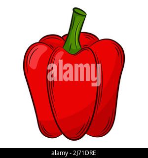 Paprika Pepper. A vegetable in a linear style, drawn by hand. Food ingredient, design element.Color vector illustration with outline. Isolated on a wh Stock Vector