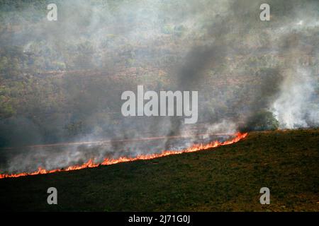 Flames and smoke curtain of a forest fire in the Brazilian Amazon. Stock Photo