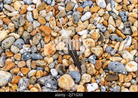 Coloured Pebbles and a Feather on the Beach at Bexhill-on-Sea, East Sussex, England Stock Photo
