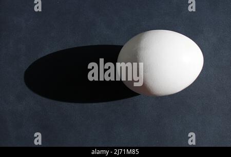 A Single Egg Casting A Shadow on a Gray Background Stock Photo