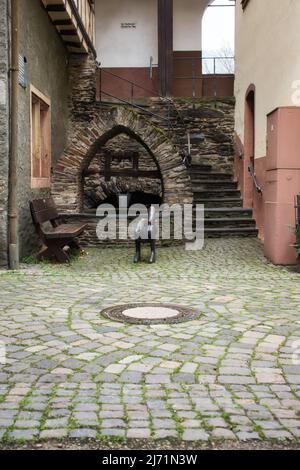 Statue in front of a well and stairs in Bacharach, Germany. Stock Photo