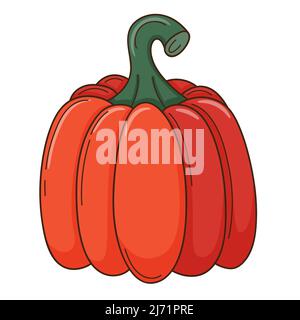 A whole red pumpkin. A symbol of autumn, harvest. Design element with outline. Doodle, hand-drawn. Flat design. vegetable, melon plant. Color vector i Stock Vector