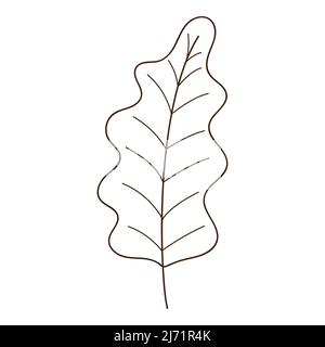 Yellw oak autumn leaf. Botanical, plant design element with outline. Autumn time. Doodle, hand-drawn. Flat design. Black white vector illustration. Is Stock Vector
