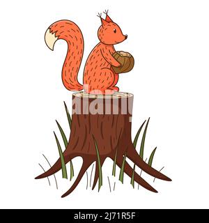 A squirrel sits on a tree stump and holds a nut in its paws. Forest animal on nature. Decorative element with an outline. Doodle, hand-drawn. Flat des Stock Vector