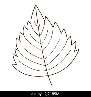 birch leaf. Botanical, plant design element with outline. Time of summer, autumn. Doodle, hand-drawn. Flat design. Black white vector illustration. Is Stock Vector