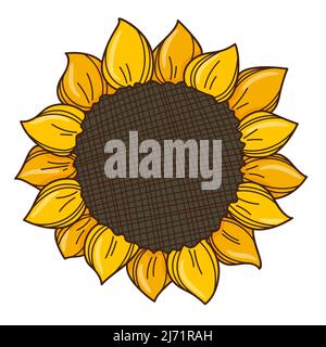Sunflower top view. Mature sunflower. A symbol of autumn, harvest. Design element with outline. Doodle, hand-drawn. Flat design. Color vector illustra Stock Vector