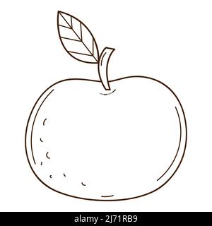 Red apple. Fruit. A symbol of autumn, harvest. Design element with outline. Doodle, hand-drawn. Black white vector illustration. Isolated on a white b Stock Vector