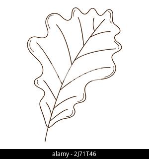 oak autumn leaf. Botanical, plant design element with outline. . Doodle, hand-drawn. Flat design. Black white vector illustration. Isolated on a white Stock Vector
