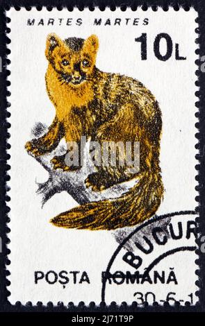 ROMANIA - CIRCA 1993: a stamp printed in the Romania shows Pine Marten, Martes Martes, Animal, circa 1993 Stock Photo
