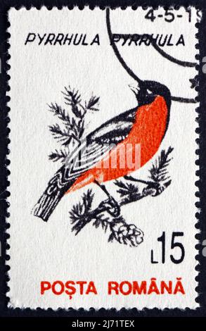 ROMANIA - CIRCA 1993: a stamp printed in the Romania shows Eurasian Bullfinch, Pyrrhula Pyrrhula, Passerine Bird, circa 1993 Stock Photo