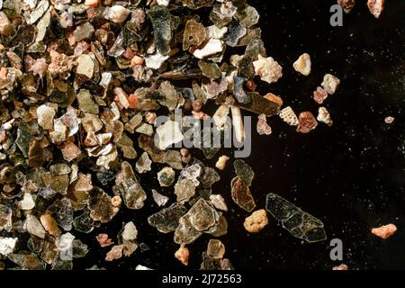 Sea sand with golden like particles on black background - 4x magnification microscope photo - few ocean shell remains visible Stock Photo