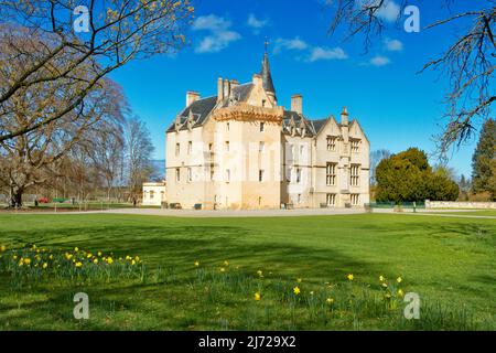 BRODIE CASTLE FORRES MORAY SCOTLAND CASTLE IN SPRINGTIME WITH DAFFODILS Stock Photo