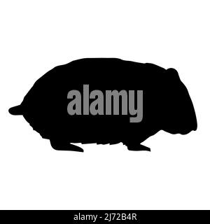 Vector hand drawn doodle sketch hamster silhouette isolated on white background Stock Vector