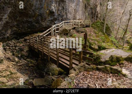 Wooden walkway along the cave walls at the entrance of the Lower Dancehall Cave.  Maquoketa Caves State Park, Iowa, USA. Stock Photo