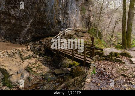 Wooden walkway along the cave walls at the entrance of the Lower Dancehall Cave.  Maquoketa Caves State Park, Iowa, USA. Stock Photo