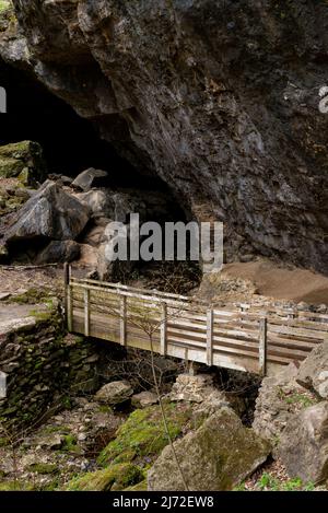 Wooden walkway along the cave walls at the entrance of the Lower Dancehall Cave.  Maquoketa Caves State Park, Iowa, USA. Stock Photo