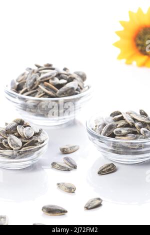 Three bowl of sunflower seeds with sunflower on white background. Vertical format. Stock Photo
