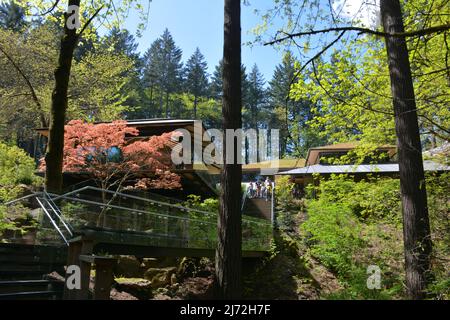 Modern structures including on the left Umami Cafe, a treehouse style teahouse with walkway at the Portland Japanese Garden in spring. Oregon, USA Stock Photo