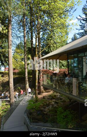 The Umami Cafe, a treehouse style teahouse at the Portland Japanese Garden in spring. Oregon, USA Stock Photo