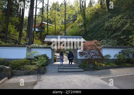 Two visitors enter via the Antique Gate, a traditional style entrance at the Portland Japanese Garden in spring. Oregon, USA Stock Photo
