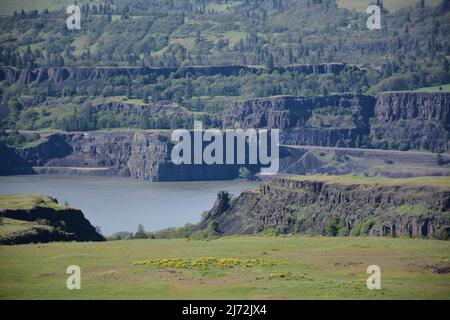 Dramatic geological formations in the Columbia River Gorge seen from Tom McCall Preserve, Oregon, USA. Stock Photo