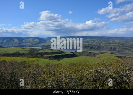 Dramatic geological formations in the Columbia River Gorge seen from Tom McCall Preserve, Oregon, USA. Stock Photo