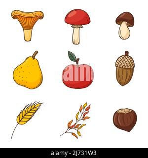 A set of colored doodles. Forest mushrooms, acorns, nuts, harvest. Autumn decorative elements with outline and fill. Color vector illustration isolate Stock Vector