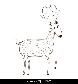 A simple cute deer. Forest wild mammal animal. Decorative element with an outline. Doodle, hand-drawn. Black white vector illustration. Isolated on a Stock Vector