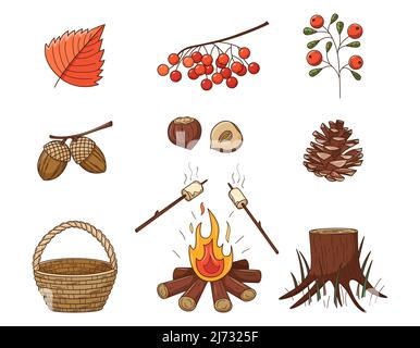 A set of colored doodles. Pinecone, bonfire, stump, mountain ash, berry, acorns, hazelnut. Forest, autumn decorative elements with a stroke and fill. Stock Vector
