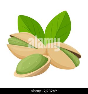 Pistachio nuts in a shell with leaves. Healthy food, an ingredient. Flat, cartoon style. Color vector illustration isolated on a white background Stock Vector