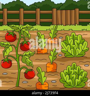 Vegetables Field Colored Cartoon Illustration Stock Vector