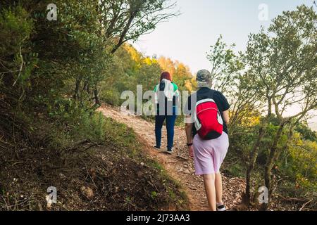 two women friends climbing to the top of a mountain. young people on holiday. women hiking on a woods trail. Stock Photo