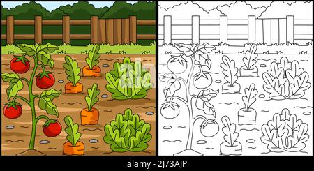 Vegetable Field Coloring Page Illustration Stock Vector