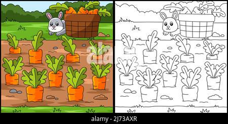 Carrot Field Coloring Page Colored Illustration Stock Vector