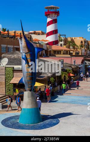 Cabo San Lucas Marina, Baja California, Mexico Stock Photo - Alamy