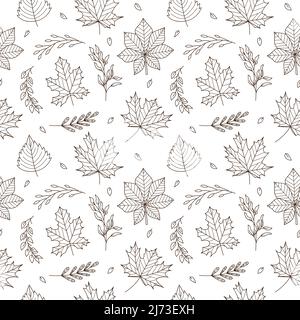 Seamless pattern with autumn leaves and twigs. Maple, oak, chestnut, aspen, birch.Monochrome backdrop with botanical linear Outline doodle elements. B Stock Vector