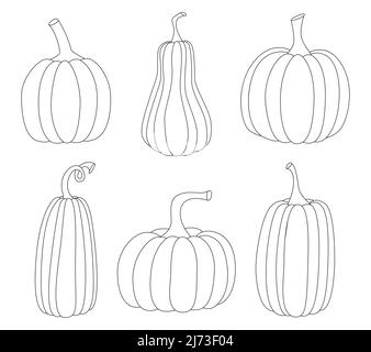 A set of black and white linear pumpkins. Contour outline hand drawn pumpkins. Lineart. Vector illustration isolated on a white background. Stock Vector